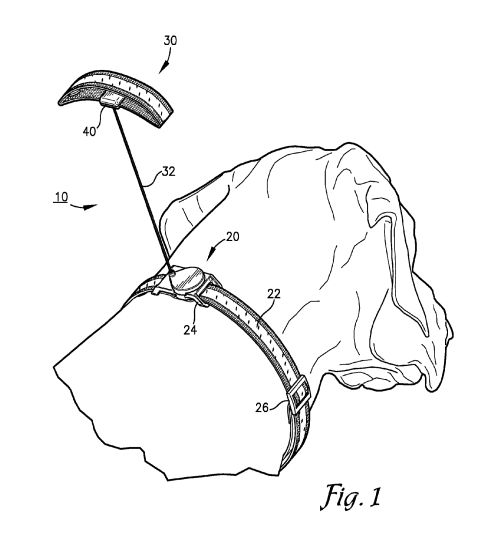 Fig. 1